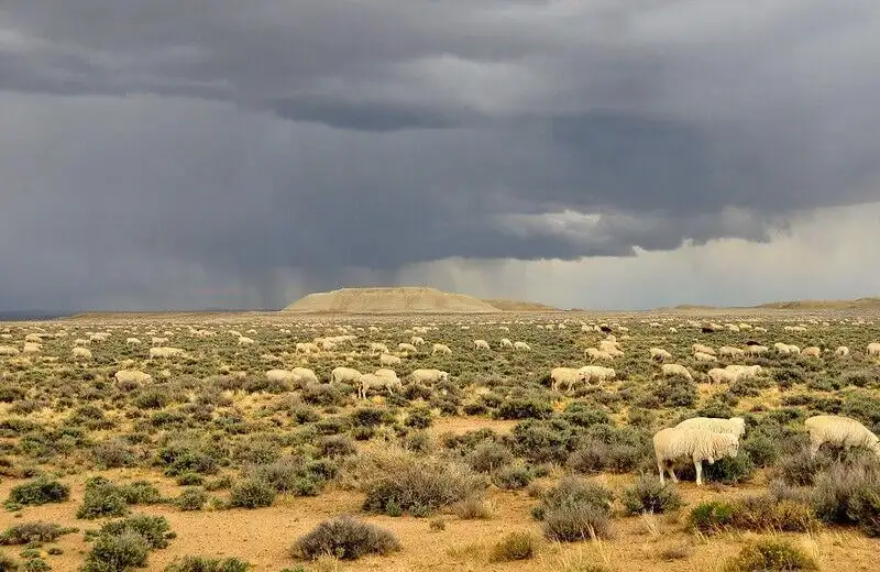 Final Rock Springs management plan released