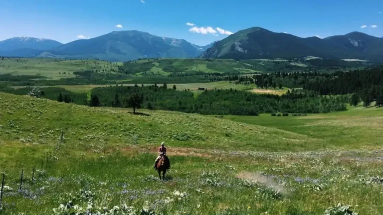 First-generation ranchers help preserve California rangelands