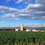 What worries ag bankers about 2019