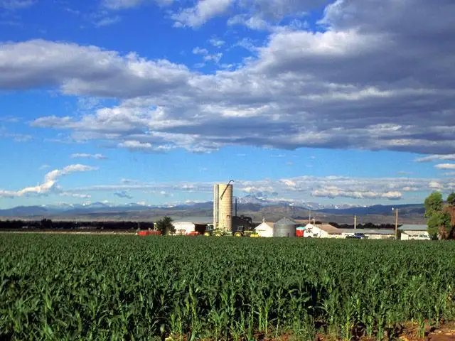 What worries ag bankers about 2019