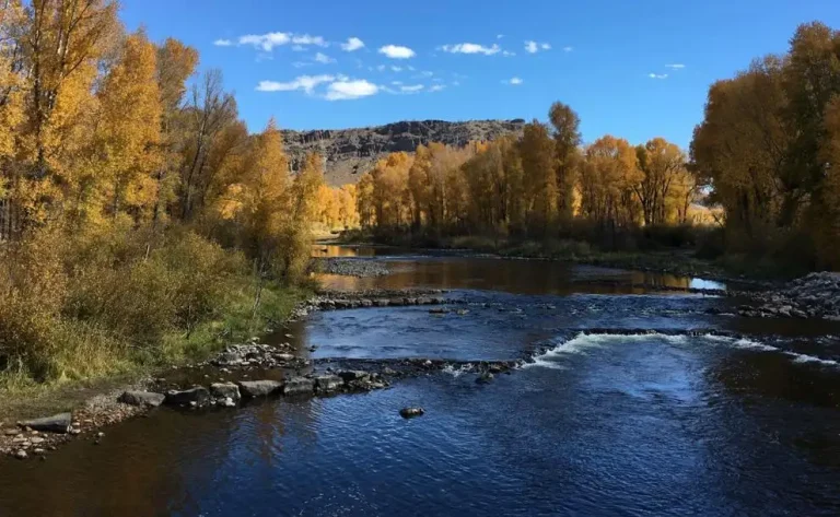 Colorado River