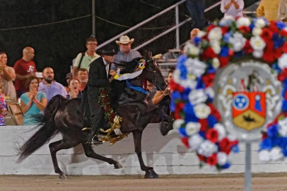 Horse soring.jpg