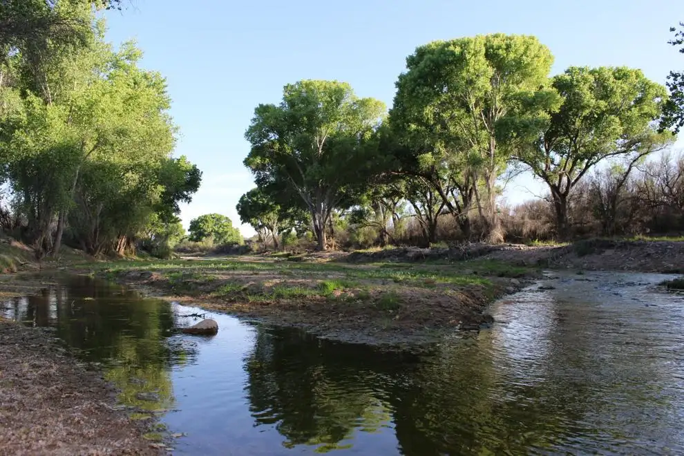 San Pedro Riparian NCA