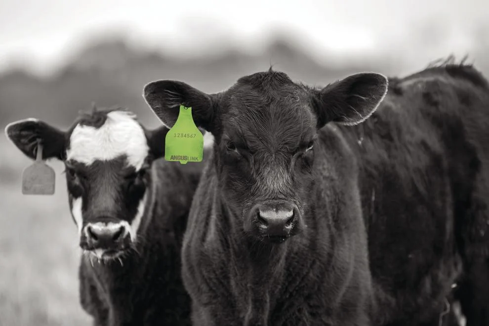 Greater Omaha acquires Heartland Proteins